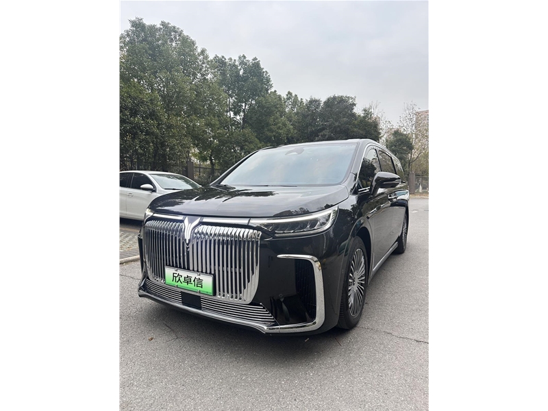 岚图梦想家7座